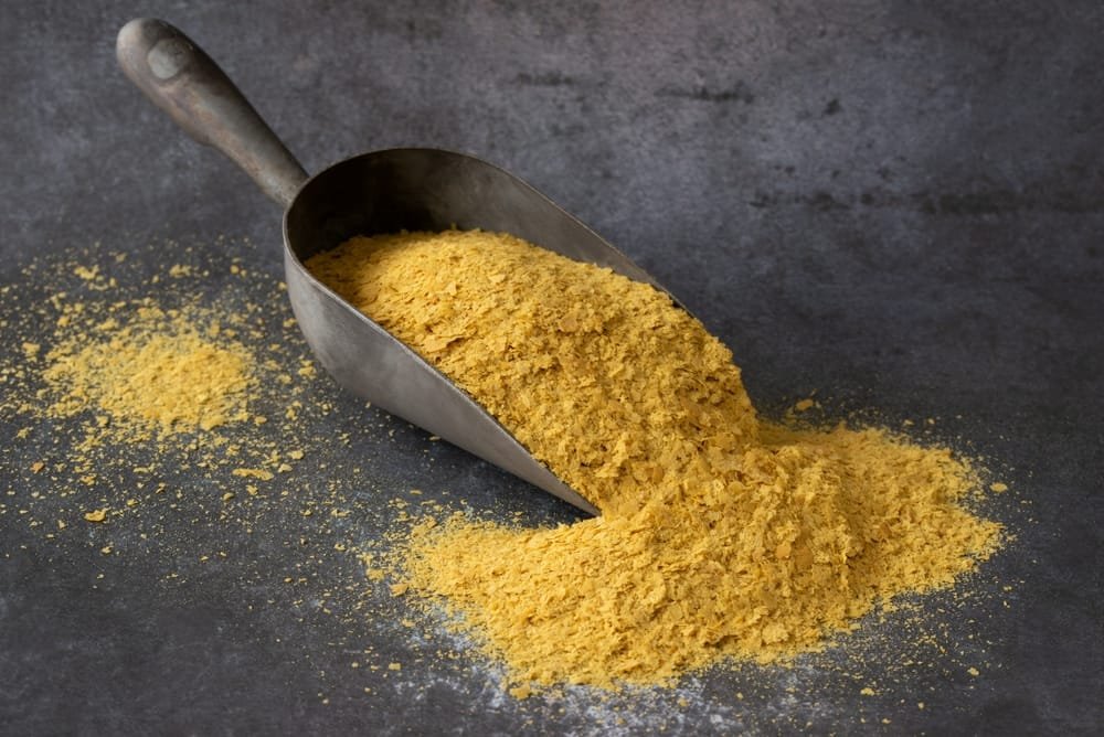 What is Nutritional Yeast? What is Nutritional Yeast?
